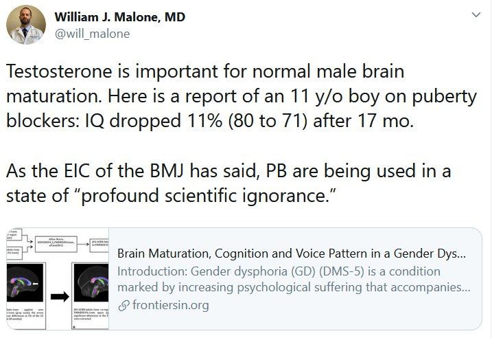 Retarded Faggots.