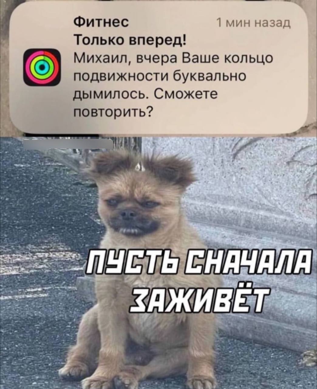Фитнес 1 мин назад Только вперед! Михаил, вчера Ваше кольцо подвижности буквально дымилось. Сможете у повторить? i