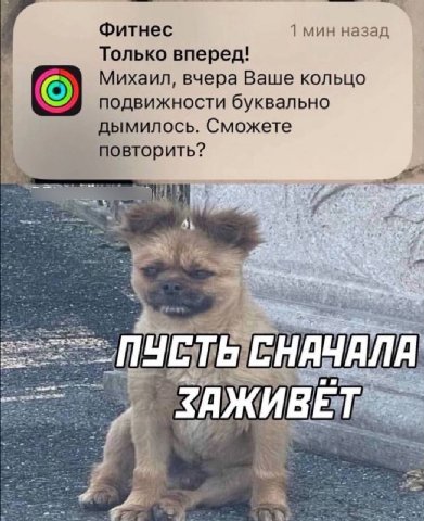 Фитнес 1 мин назад Только вперед! Михаил, вчера Ваше кольцо подвижности буквально дымилось. Сможете у повторить? i