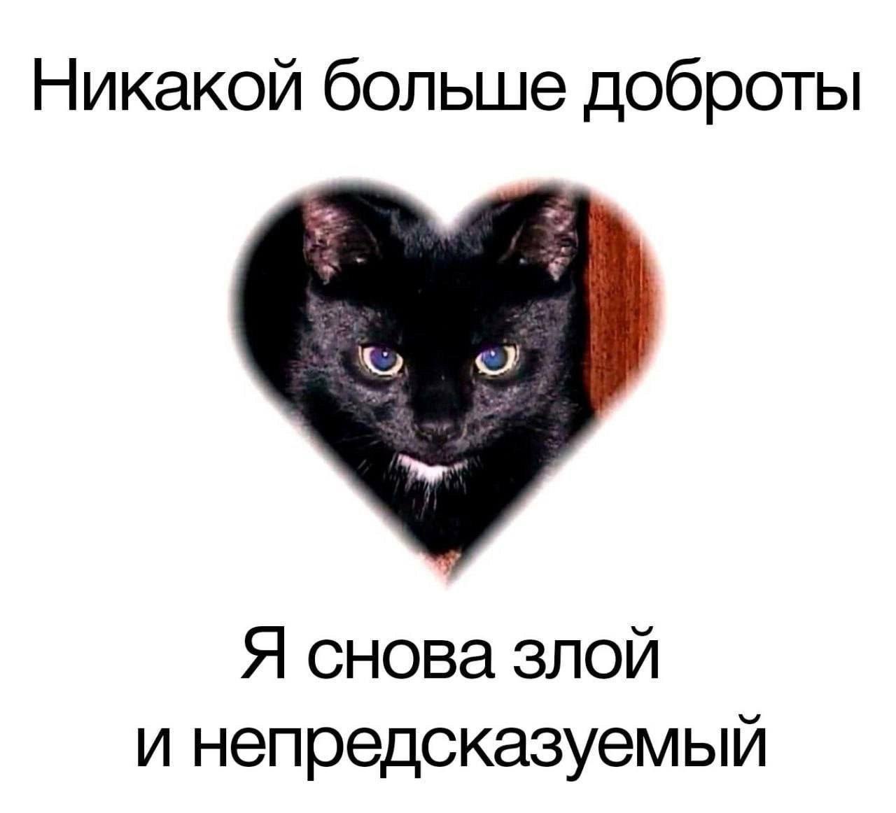 Никакой больше доброты Я снова злой и непредсказуемый