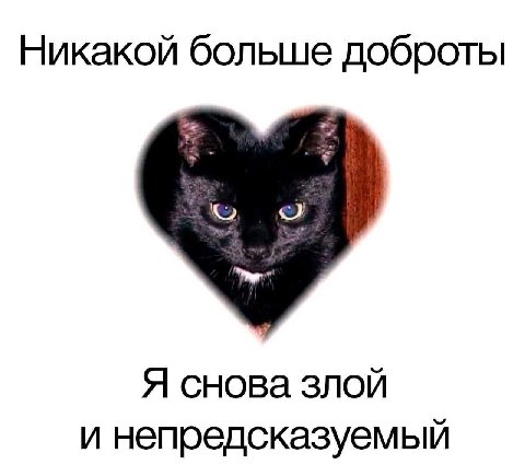 Никакой больше доброты Я снова злой и непредсказуемый