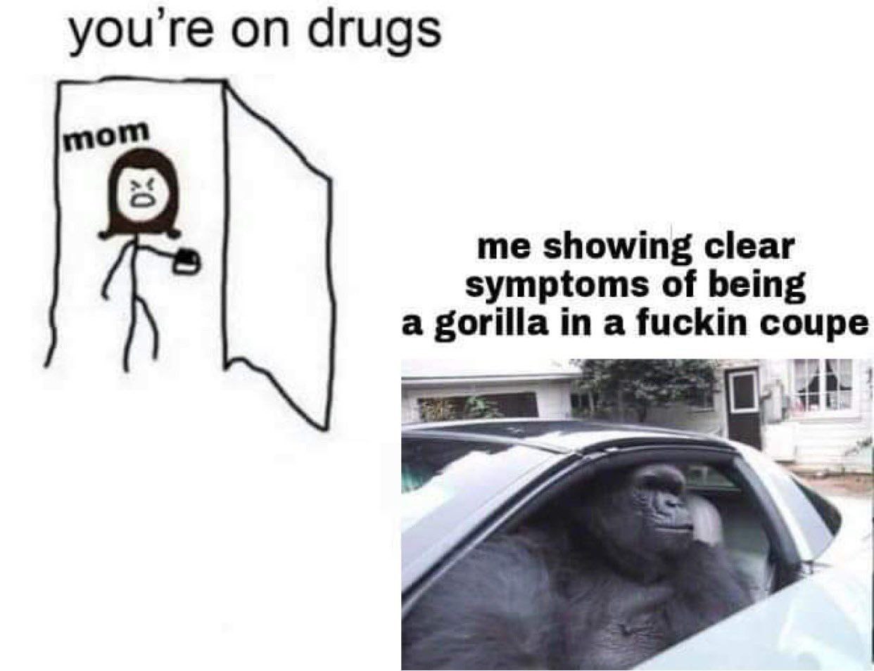 you're on drugs mom showing clear symptoms of being a gorilla in a fuckin coupe