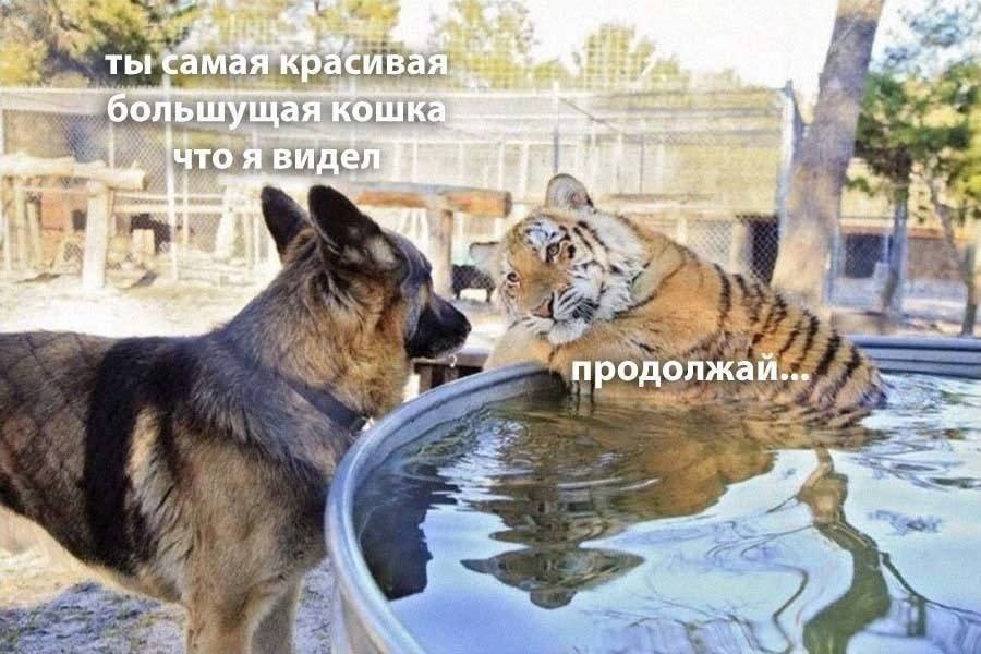 ты самая краси я. 2 3, 65 ьшущая что я виде продолжай... Ving