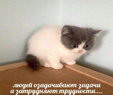 у Juogeu ozaga чивают задачи а затрудняют