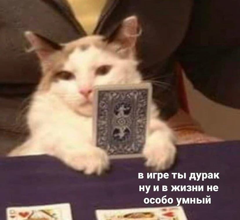 в игре ты дурак нуив жизни не особо умный