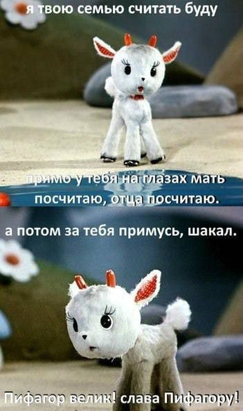 я твою семью считать буду a 2 Я на глазах мать посчитаю, отца посчитаю. а потом за тебя примусь, шакал. Пифагор. велик! слава Пифагору!