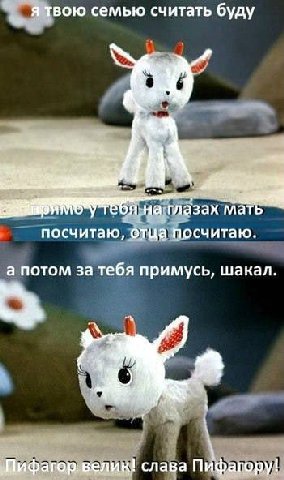 я твою семью считать буду a 2 Я на глазах мать посчитаю, отца посчитаю. а потом за тебя примусь, шакал. Пифагор. велик! слава Пифагору!