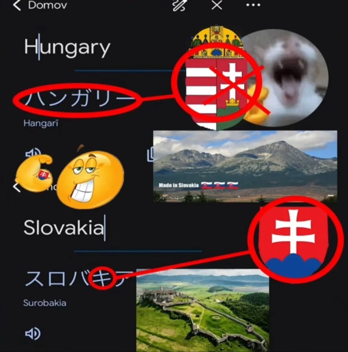 Бошом Hungary i Made in Slovakia