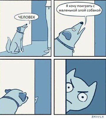 Я хочу поиграть с маленькой злой собакой