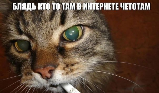 БЛЯДЬ КТО ТО ТАМ В ИНТЕРНЕТЕ ЧЕТОТАМ