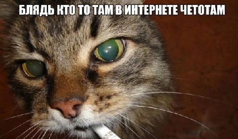 БЛЯДЬ КТО ТО ТАМ В ИНТЕРНЕТЕ ЧЕТОТАМ