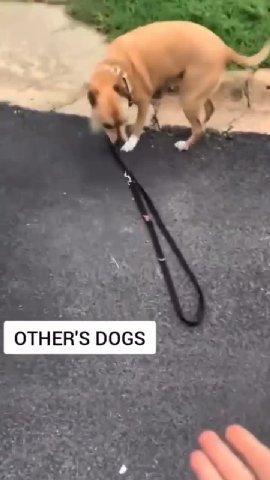 мем
