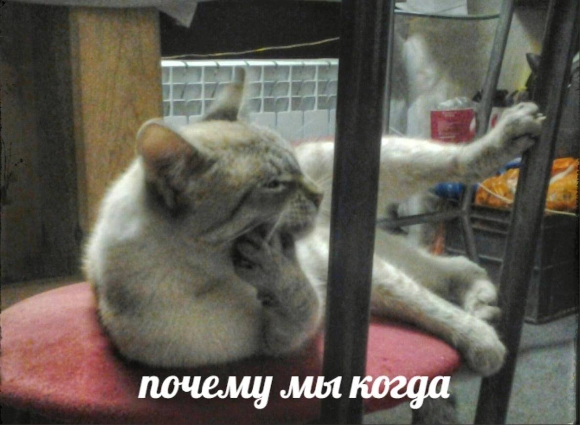 почему мы когда