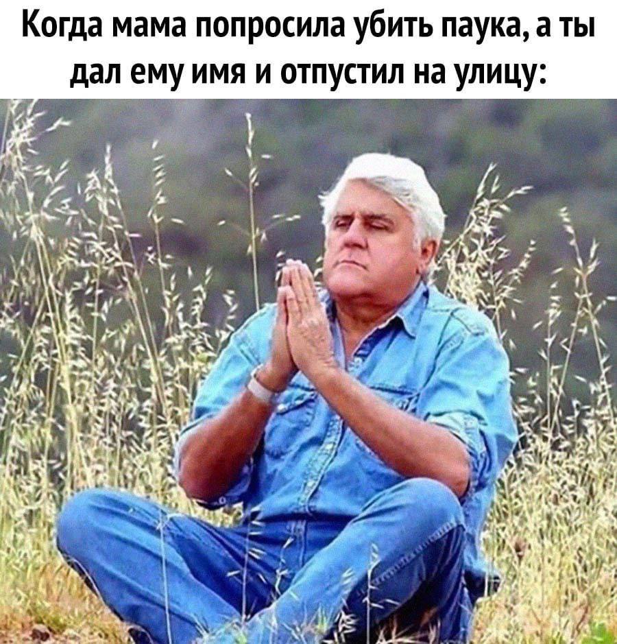 Когда мама попросила убить паука, а ты 9 дал ему имя и отпустил на улицу: 4 3 aren и. у a 7 HEN
