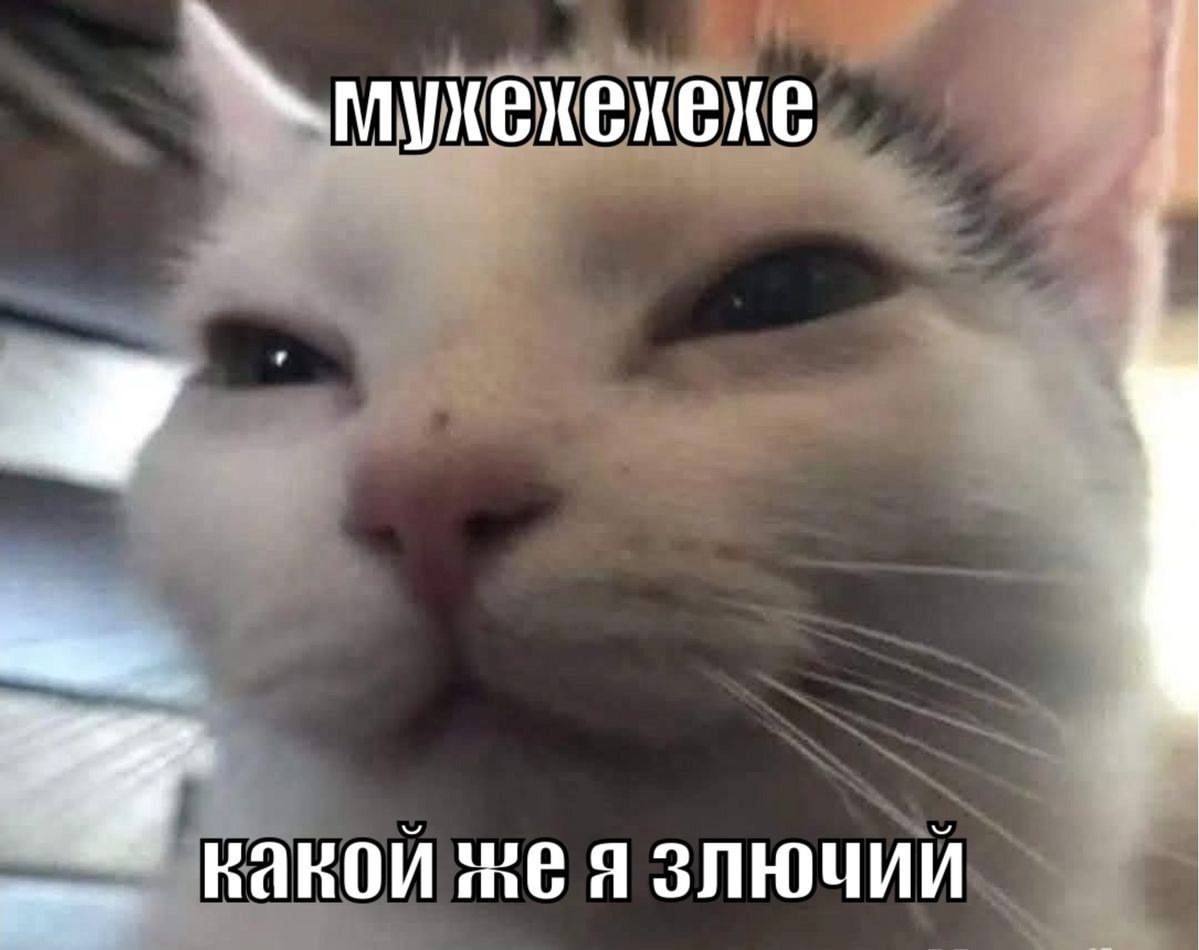 какой я злючии