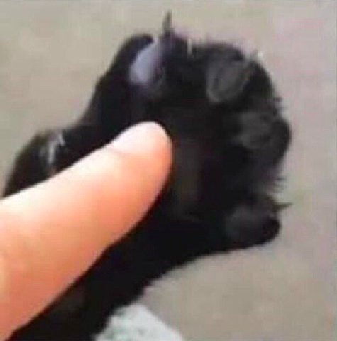 мем