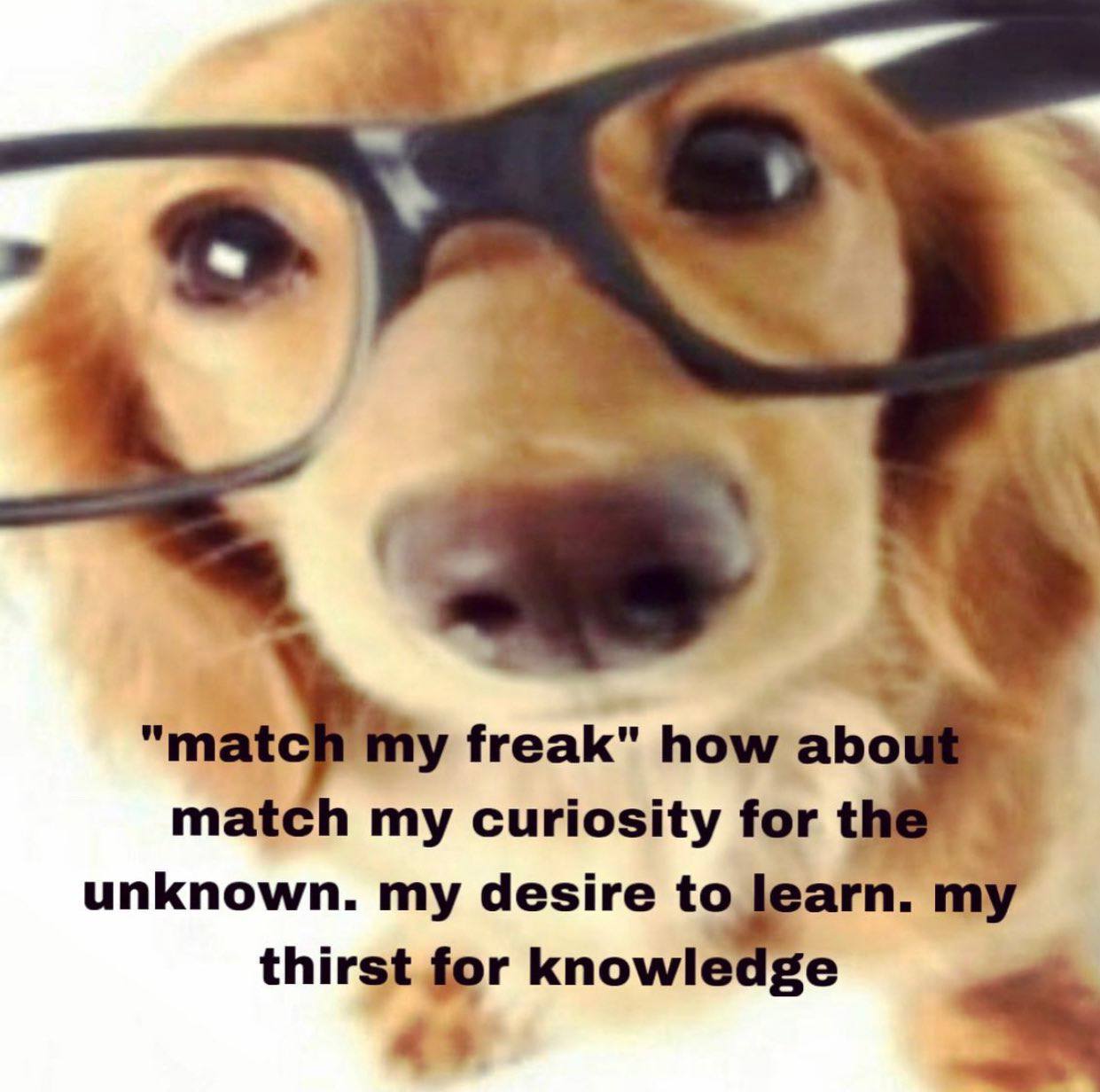 4 "matc freak" how abo match my curiosity for unknown. my desire thirst for knowledge
