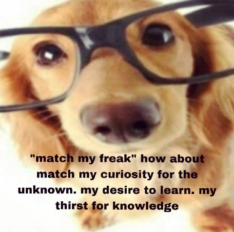 4 "matc freak" how abo match my curiosity for unknown. my desire thirst for knowledge