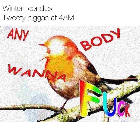 Winter: <ends> Tweety niggas at