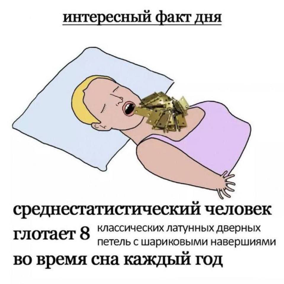 интересный факт дня среднестатистический человек глотает 8 классических латунных дверных петель с шариковыми навершиями во время сна каждый год