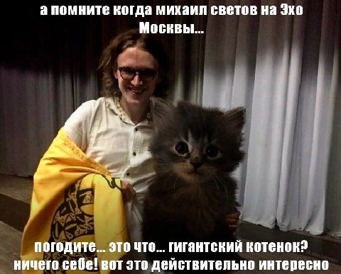 а помните когда михаил светов на Эхо Москвы... погодите... это что... гигантский котенок? ничего себе! вот это действительно интересно