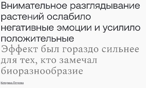 Внимательное разглядывание растений ослабило негативные эмоции и усилило положительные Эффект был гораздо сильнее для тех, кто замечал биоразнообразие Катерина Петрова