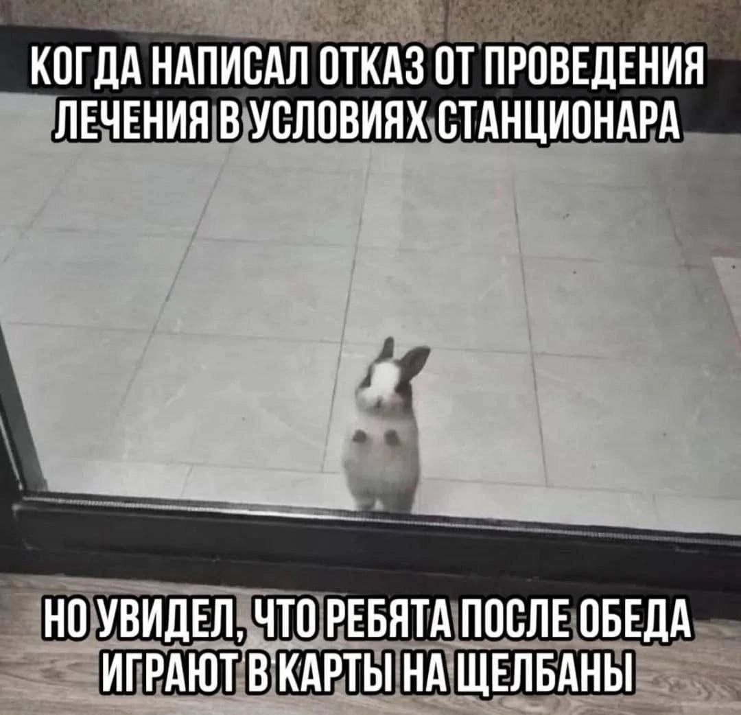 КОГДА НАПИСАЛ ОТКАЗ ОТ ПРОВЕДЕНИЯ ЛЕЧЕНИЯ В УСЛОВИЯХ СТАНЦИОНАРА НО УВИДЕЛ, ЧТО РЕБЯТА ПОСЛЕ ОБЕДА ИГРАЮТ ЩЕЛБАНЫ