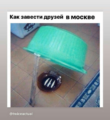 Как завести друзей в москве @twiceactual