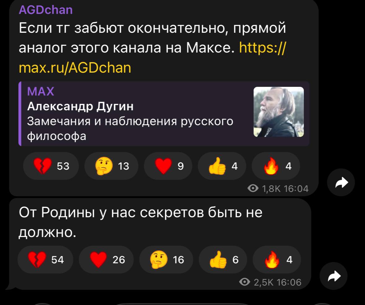 Если забьют окончательно, прямой аналог этого канала на Максе. Александр Дугин Замечания и наблюдения русского философа 53 13 9 4 4 От Родины у нас секретов быть не должно. 54 26 16 6