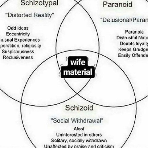 "Distorted Reality” Delusional/Paran Odd ideas Eccentricity Paranoia Experiences Distrustful Natu perstition, religiosity Doubts Keeps Grudge Reclusiveness Easily Offende wife material Schizoid "Socia