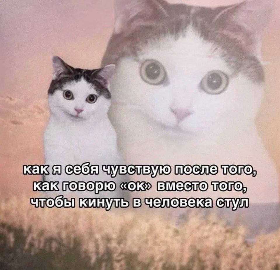 ебя чувс как говорю ТО чтобы кинуть в че
