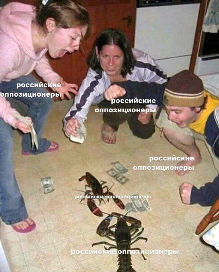 российские оппозиционеры российские as оппозиционеры 1 российские оппозиционеры а зиционе a? Vig as poe 1