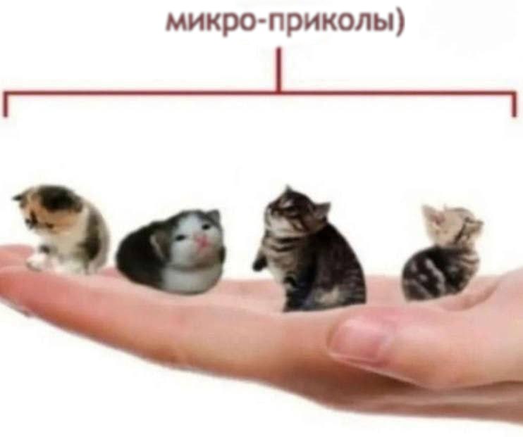 микро-приколы)