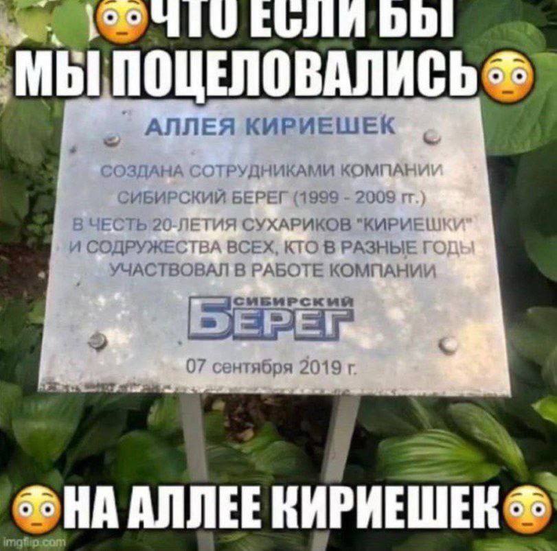 МЫ АЛЛЕЯ КИРИЕШЕК СОЗДАНА СОТРУДНИКАМИ КОМПА! СИБИРСКИЙ БЕРЕГ (1999 2009 В ЧЕСТЬ 20-ЛЕТИЯ СУХАРИКОВ И СОДРУЖЕСТВА ВСЕХ, КТО В РАЗНЫЕ УЧАСТВОВАЛ В РАБОТЕ КОМПАНИИ СИБИРСКИЙ 07 сентября 2019 АЛЛЕЕ