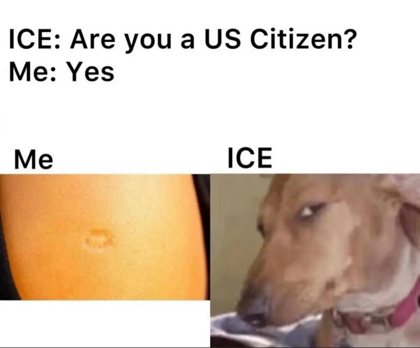 ICE: Are you a Citizen? Me: Yes Me ICE