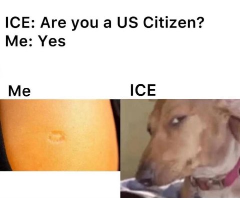 ICE: Are you a Citizen? Me: Yes Me ICE