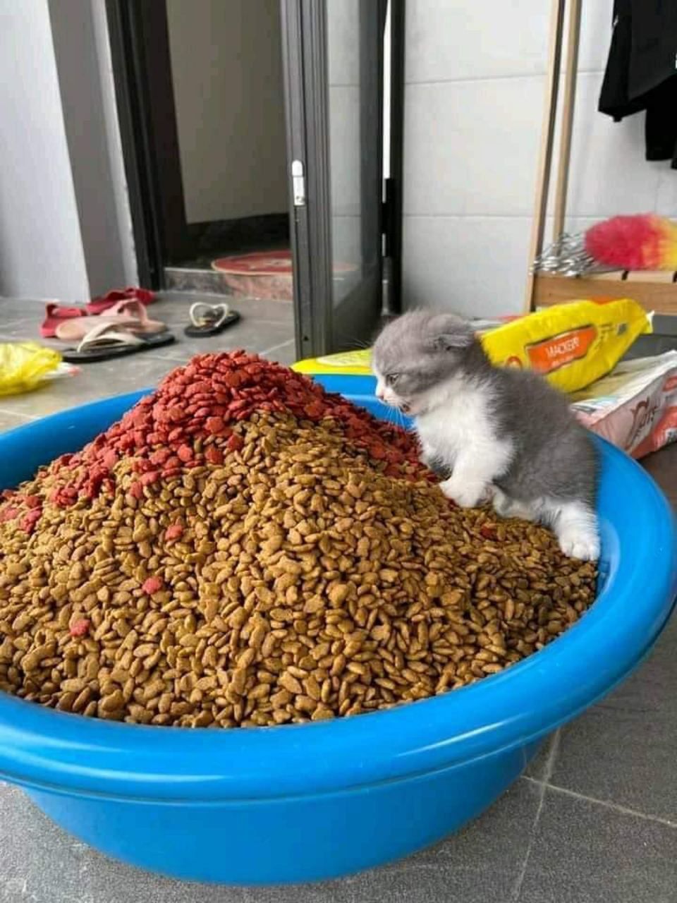Bulking