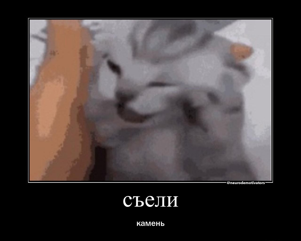 съели камень