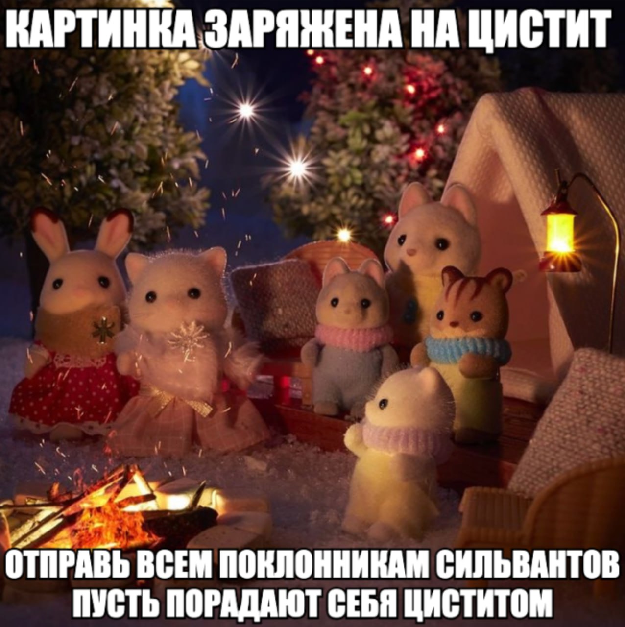КАРТИННА ЗАРЯЖНЕНА НА ЦИСТИТ ОТПРАВЬ ВСЕМ ПОКЛОННИКАМ СИЛЬВАНТОВ ПУСТЬ ПОРАДАЮТ СЕБЯ ЦИСТИТОМ