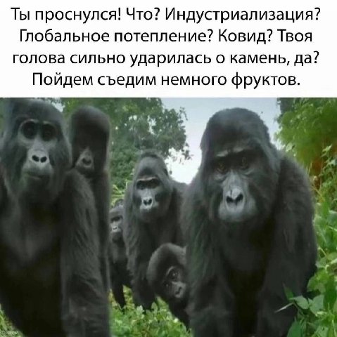Ты проснулся! Что? Индустриализация? Глобальное потепление? Ковид? Твоя голова сильно ударилась о камень, да? Пойдем съедим немного фруктов. У 4 4 я