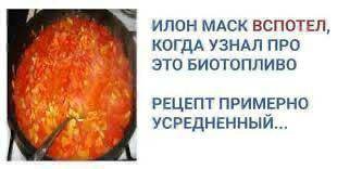 ИЛОН МАСК ВСПОТЕЛ, КОГДА УЗНАЛ ПРО ЭТО БИОТОПЛИВО РЕЦЕПТ ПРИМЕРНО УСРЕДНЕННЫЙ...