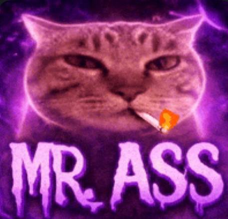 ASS