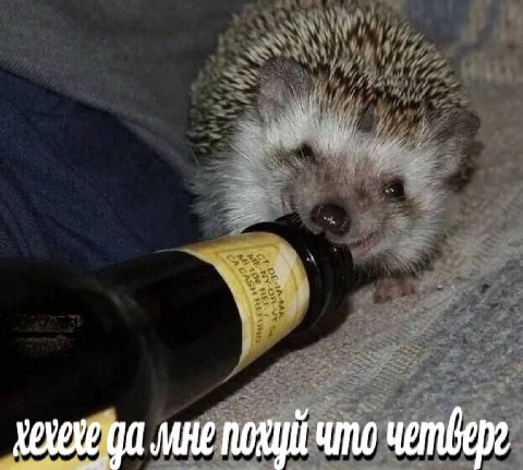 что