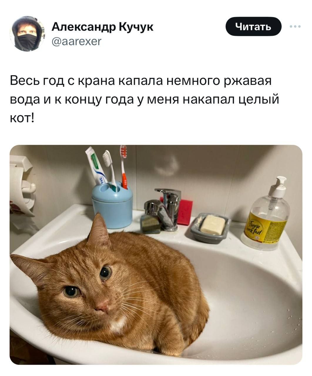 Александр Кучук @аагехег Весь год с крана капала немного ржавая вода и к концу года у меня накапал целый кот!