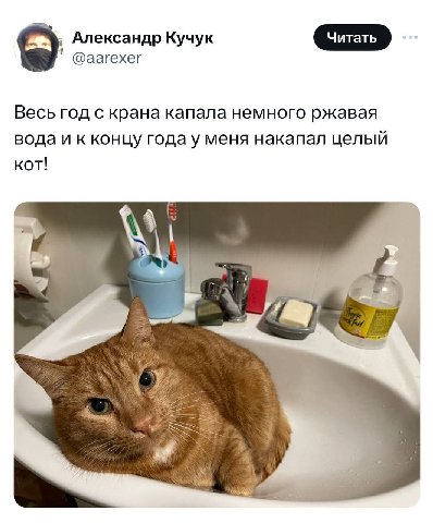 Александр Кучук @аагехег Весь год с крана капала немного ржавая вода и к концу года у меня накапал целый кот!