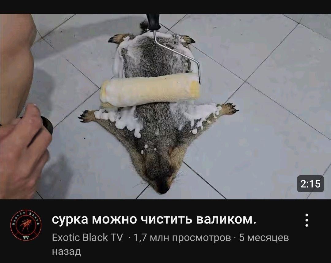 сурка можно чистить валиком. Exotic Black 1,7 млн просмотров 5 месяцев назад