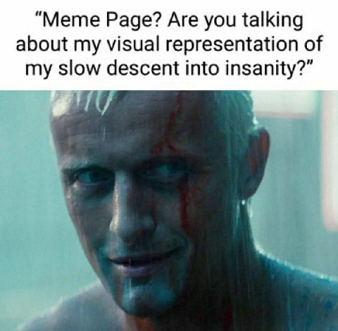 “Meme Page? Are you talking about my visual representation of my slow descent into insanity?”