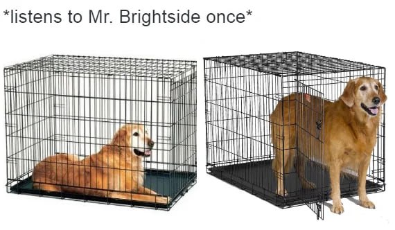 to Brightside опсе* Я 4