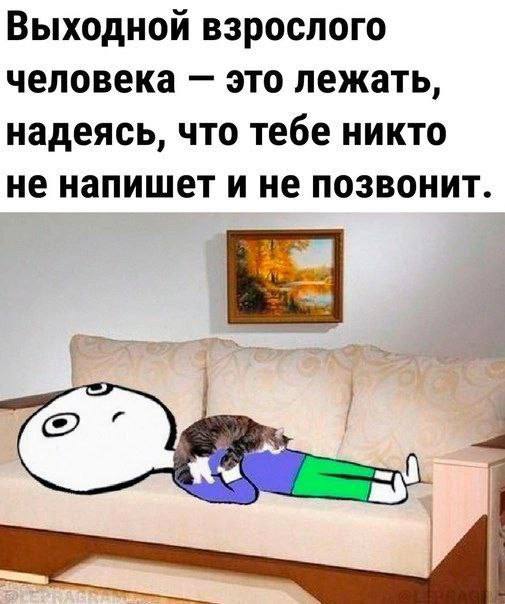 Выходной взрослого человека это лежать, надеясь, что тебе никто не напишет и не позвонит.