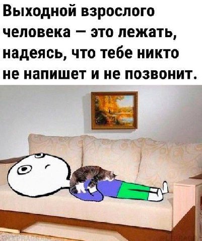 Выходной взрослого человека это лежать, надеясь, что тебе никто не напишет и не позвонит.